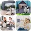 Ultrasonic Anti-Barking Training Device - Image 17