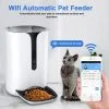 The Ultimate Connected AutoFeeder