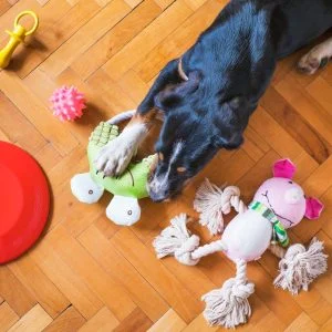 Home Page - - Tech Toys
