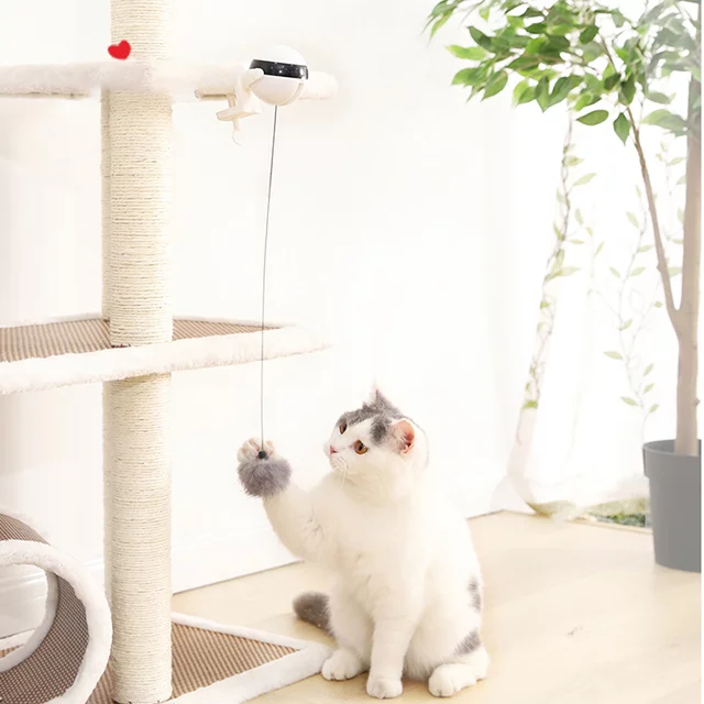 Retractable Cat Bobble - Image 3