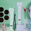 The Ultimate Cat Laser Pointer - Image 3
