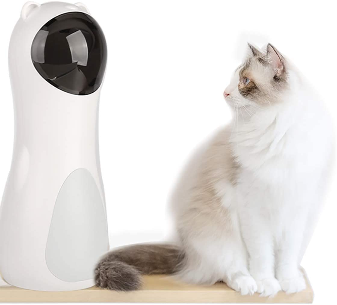 Get the Red Dot - Kitty Laser Play Station