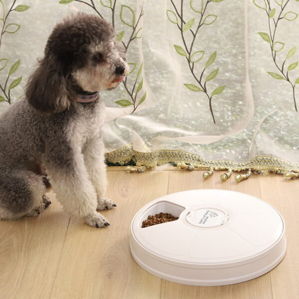 Wet Pet Food Dispenser - Image 14