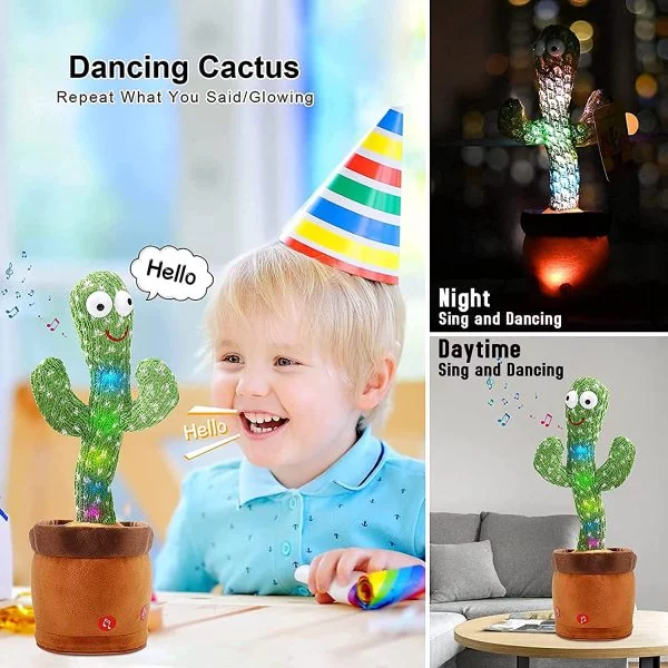 Dancing Flower & Cactus Toy - Fun Pet Play