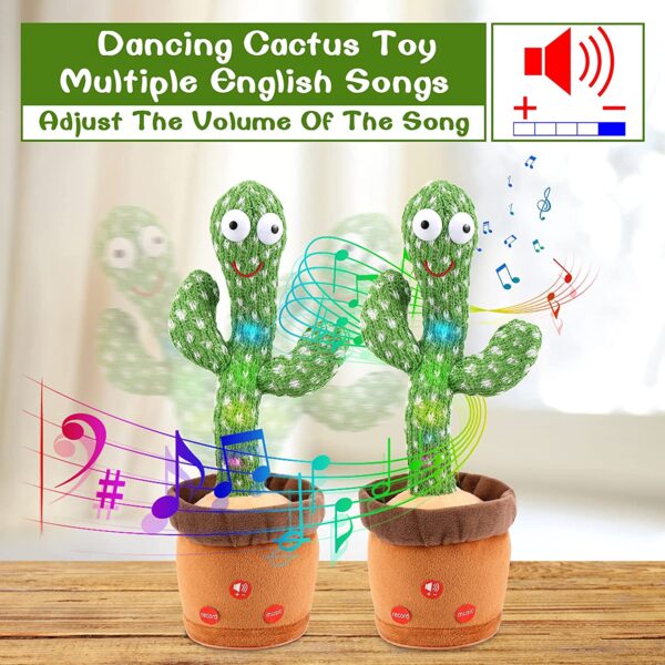 Dancing Flower and Cactus - Image 6