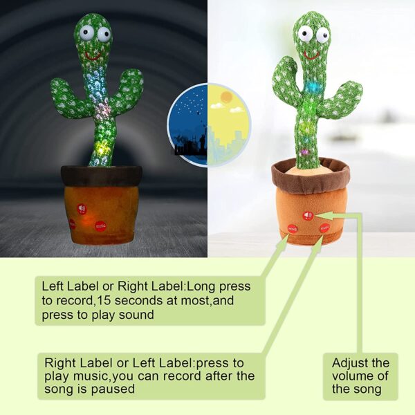 Dancing Flower and Cactus - Image 8