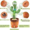 Dancing Flower and Cactus - Image 9