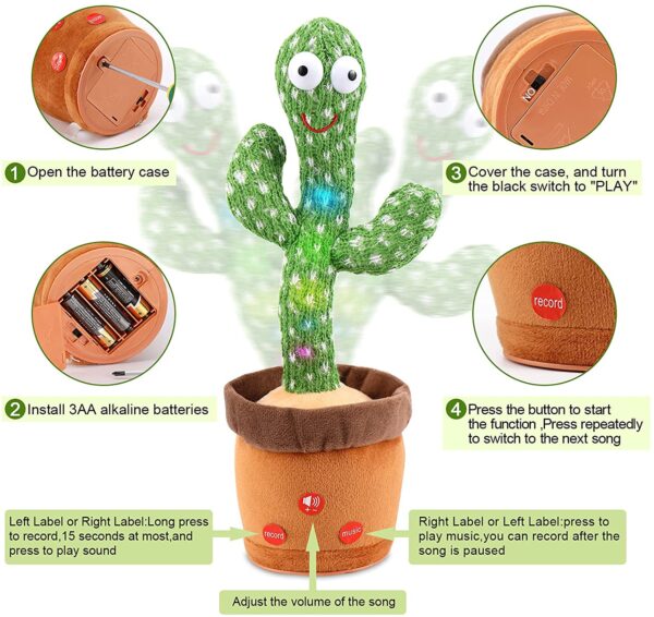 Dancing Flower and Cactus - Image 9