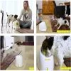 Do it yourself Tennis Ball Shooter - Image 14