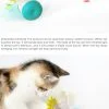 Crazy Chicken Wibbler Wobbler - Image 4