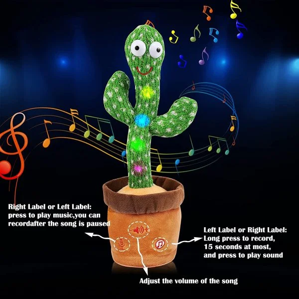 Dancing Flower & Cactus Toy - Fun Pet Play