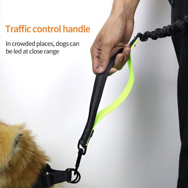 The Ultimate Dog Running Lead - Image 4