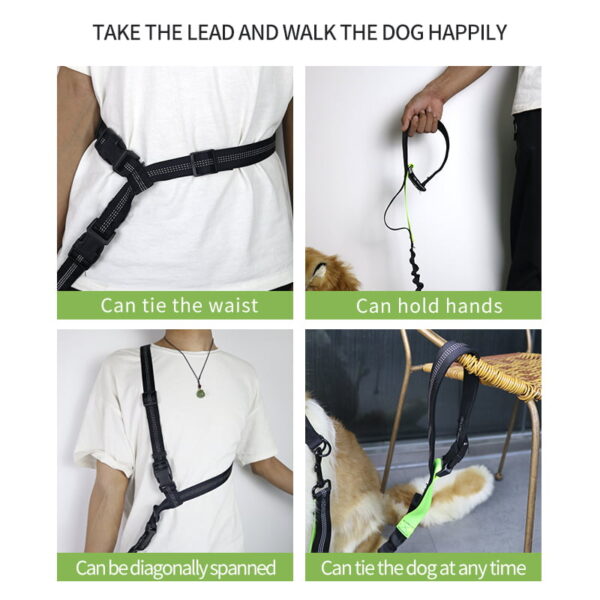 The Ultimate Dog Running Lead - Image 6
