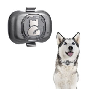 Agile GPS Pet Tracker