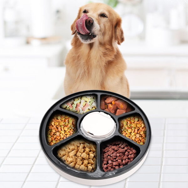 Wet Pet Food Dispenser - Image 12