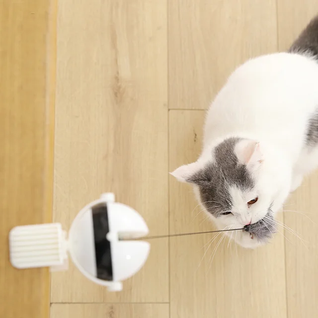 Retractable Cat Bobble - Image 5