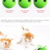 Laser Pointer Wibbler Wobbler - Image 3
