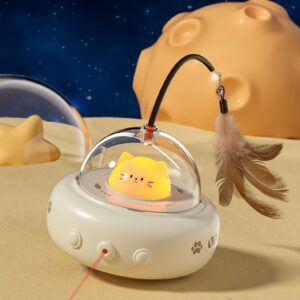 The Ultimate Kitty Play Station