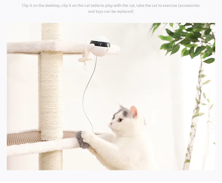 Retractable Cat Bobble - Image 13