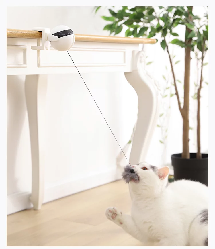 Retractable Cat Bobble