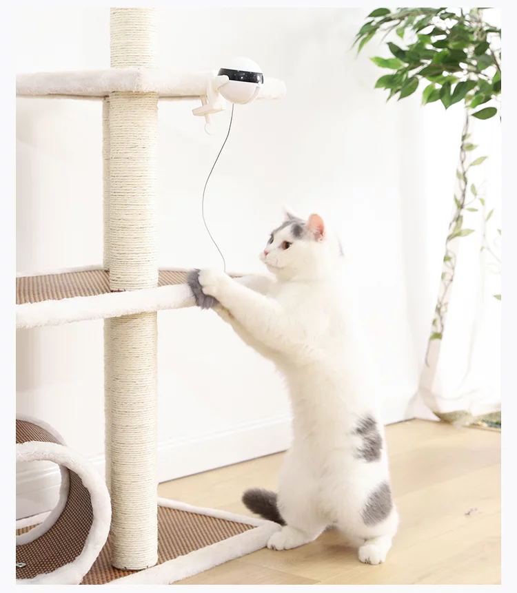 Retractable Cat Bobble - Image 14