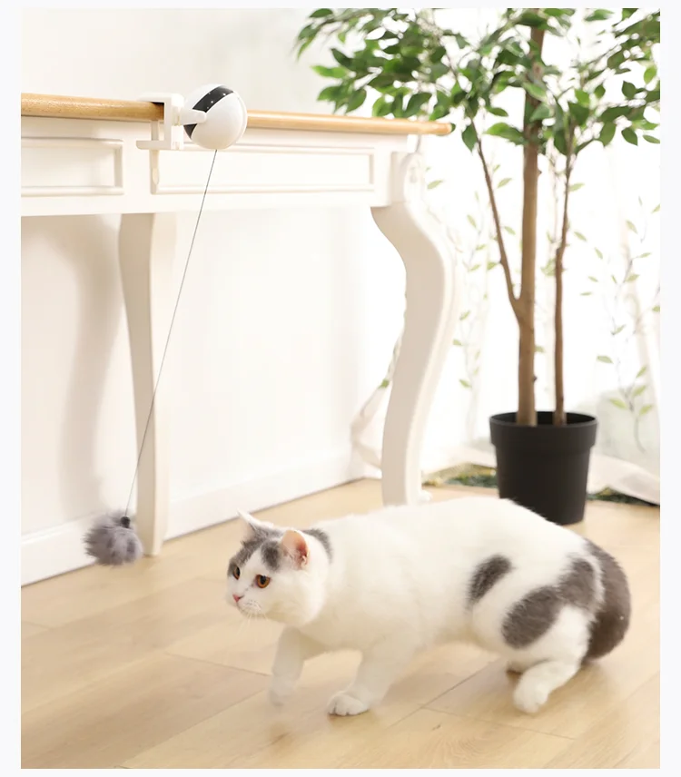 Retractable Cat Bobble - Image 15