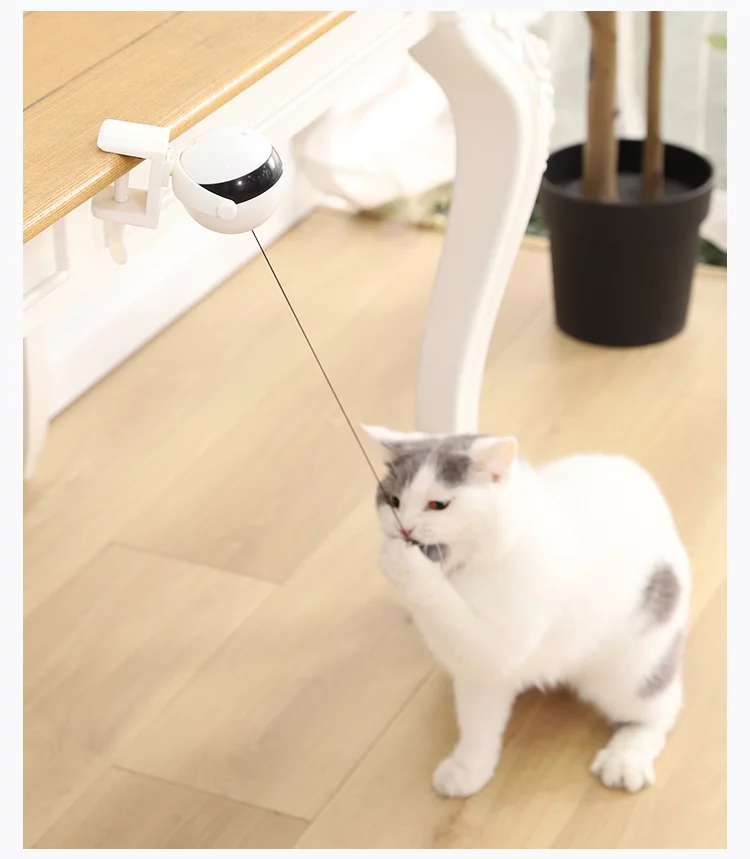 Retractable Cat Bobble - Image 17