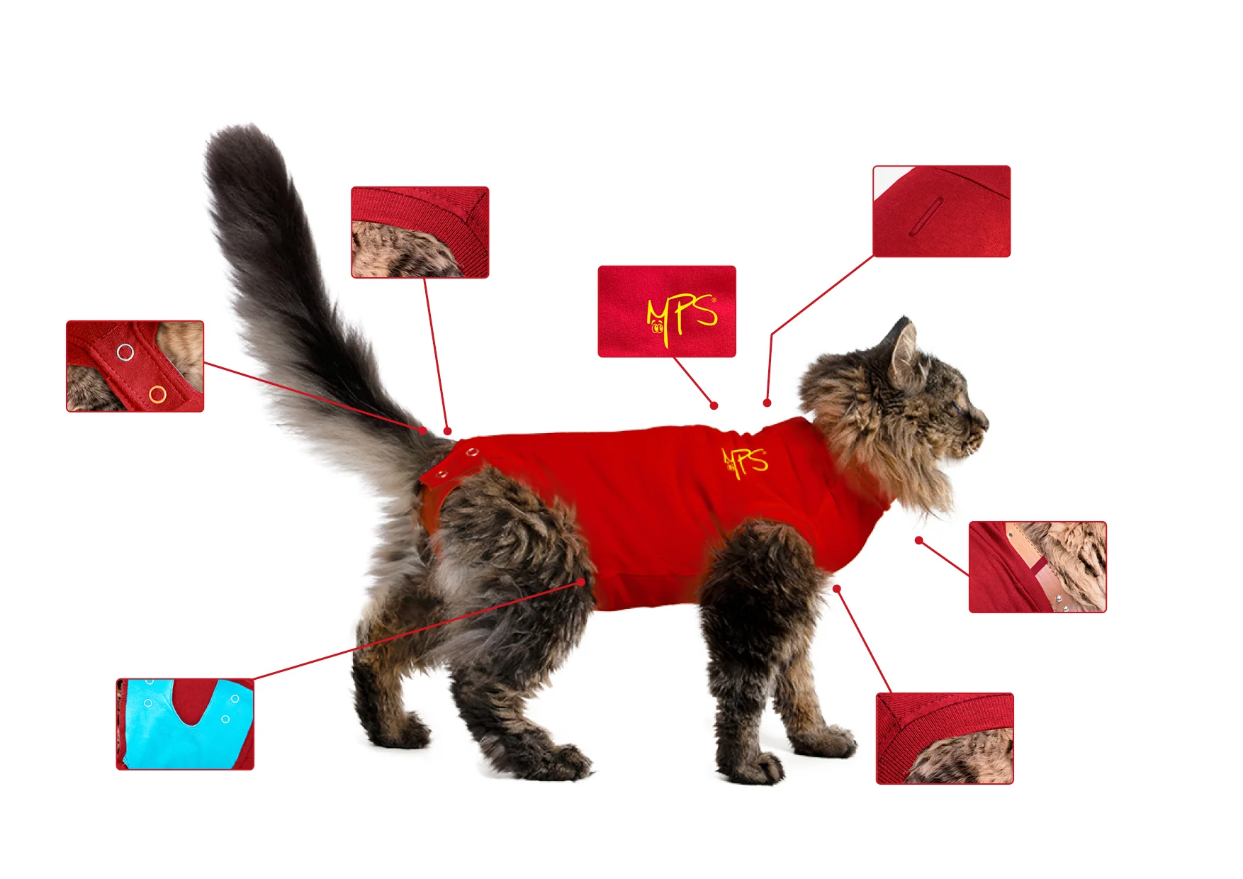 MPS - Veterinary Range Shirt CAT - Image 3