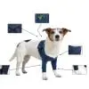 MPS - Veterinary Range Double Sleeve DOG - Image 2