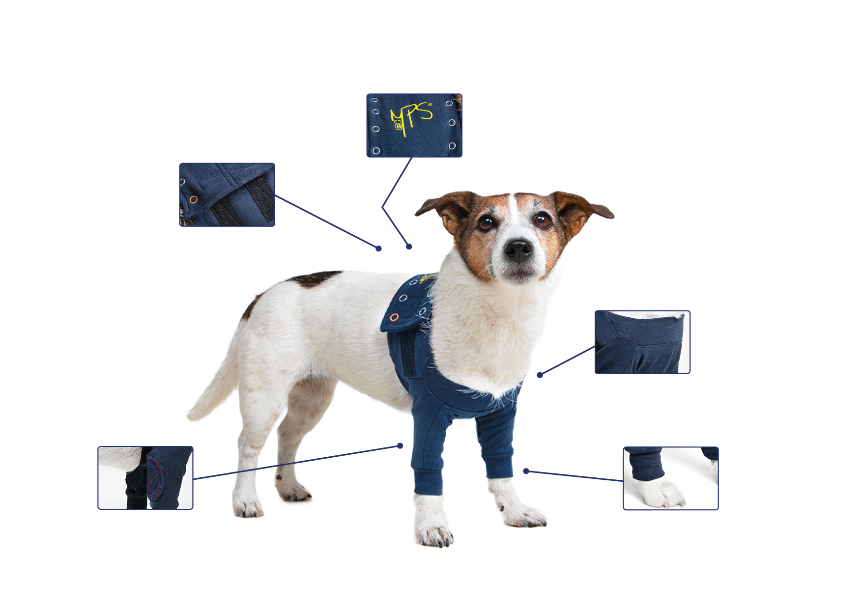 MPS - Veterinary Range Double Sleeve DOG