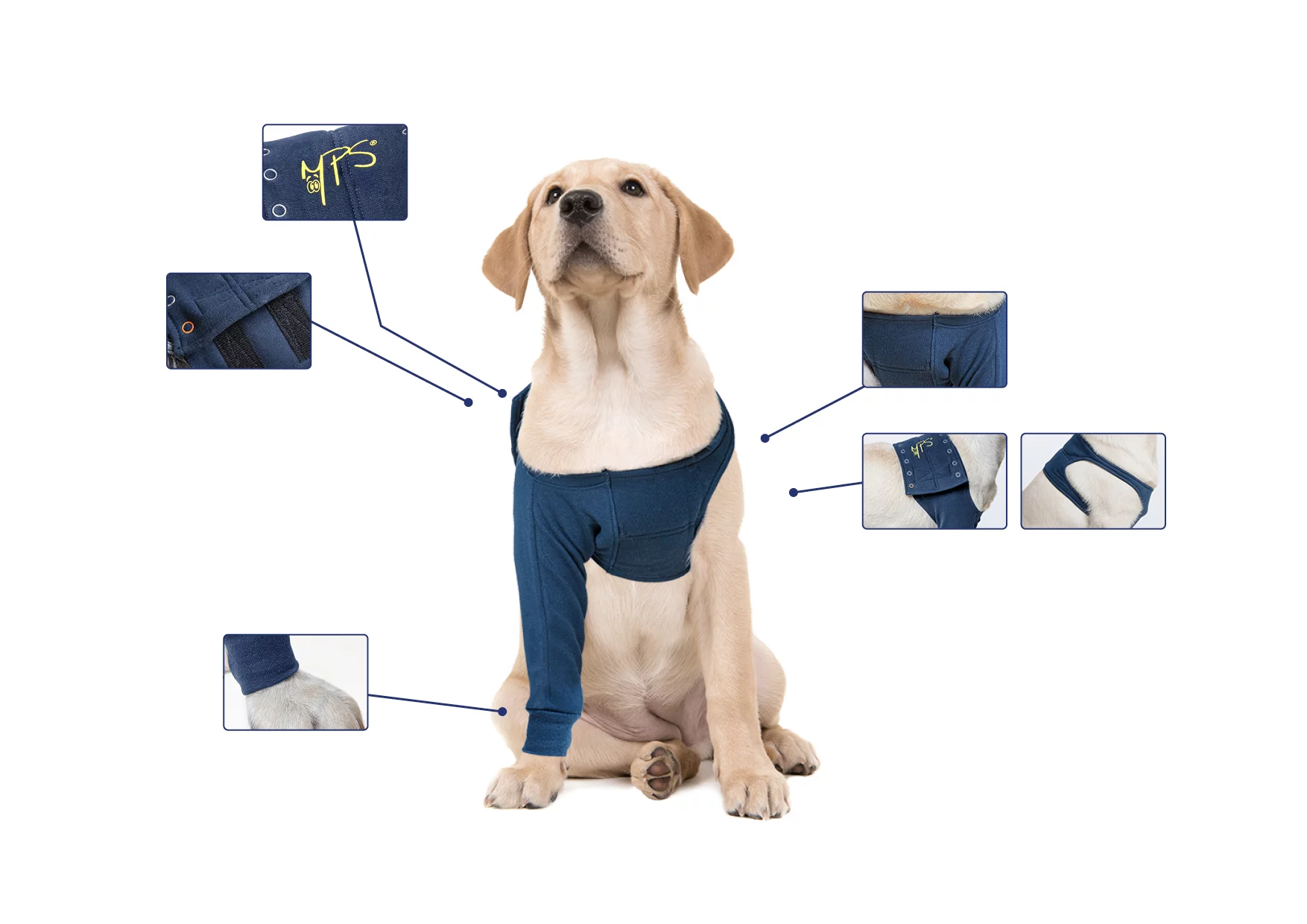 Medical Recovery Pet Shirts TailMe Keeping a tail on your pets