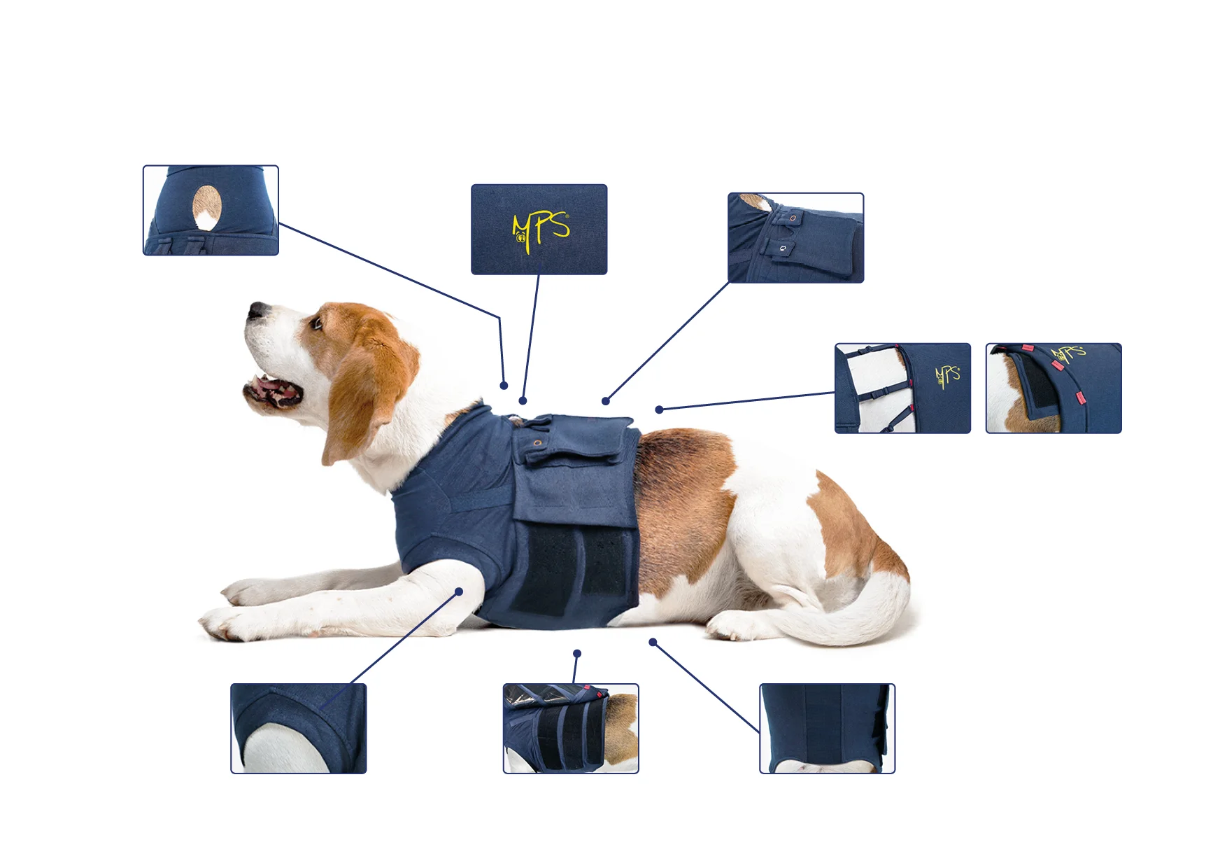 MPS - Veterinary Range Shirt 4 in 1 DOG - 4 in 1 medical recovery shirt for dogs. - TOP-MPS-1 MPS - Veterinary Range Shirt 4 in 1 DOG - Image 3