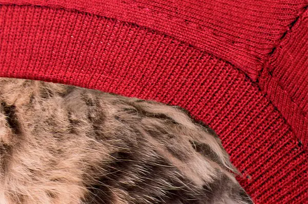 MPS - Veterinary Range Shirt CAT - Image 4