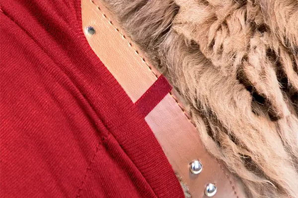 MPS - Veterinary Range Shirt CAT - Image 6