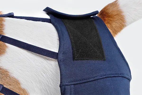 MPS - Veterinary Range Hind Leg Sleeves DOG - Image 5