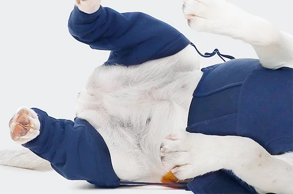MPS - Veterinary Range Hind Leg Sleeves DOG - Image 7