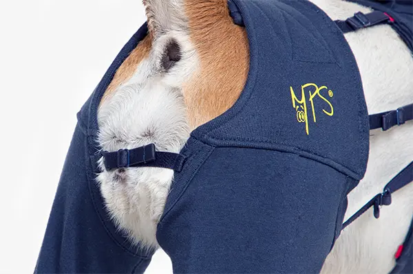 MPS - Veterinary Range Hind Leg Sleeves DOG - Image 8