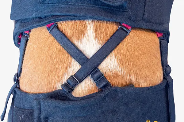 MPS - Veterinary Range Hind Leg Sleeves DOG - Image 10