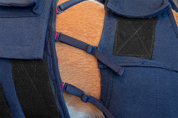 MPS - Veterinary Range Hind Leg Sleeves DOG - Image 11