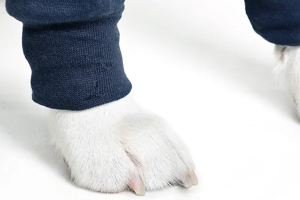 MPS - Veterinary Range Double Sleeve DOG - Image 7