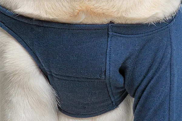 MPS - Veterinary Range Single Sleeve DOG - Image 4