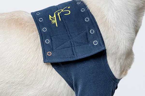 MPS - Veterinary Range Single Sleeve DOG - Image 6