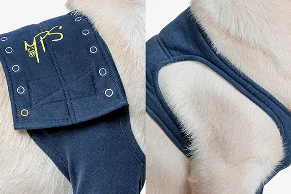 MPS - Veterinary Range Single Sleeve DOG - Image 7