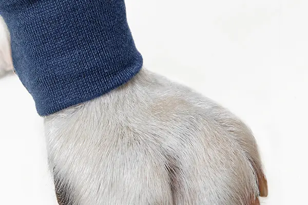 MPS - Veterinary Range Single Sleeve DOG - Image 8