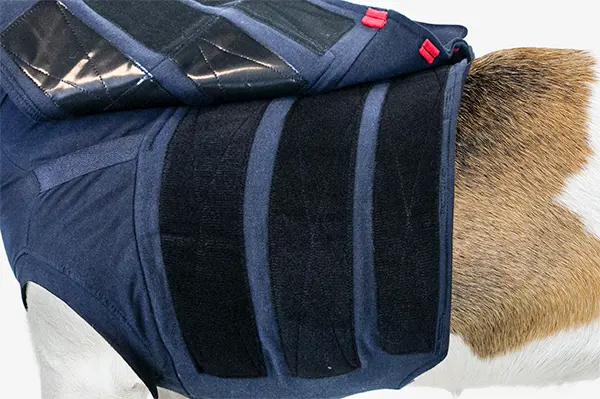 MPS - Veterinary Range Shirt 4 in 1 DOG - 4 in 1 medical recovery shirt for dogs. - TOP-MPS-1 MPS - Veterinary Range Shirt 4 in 1 DOG - Image 9