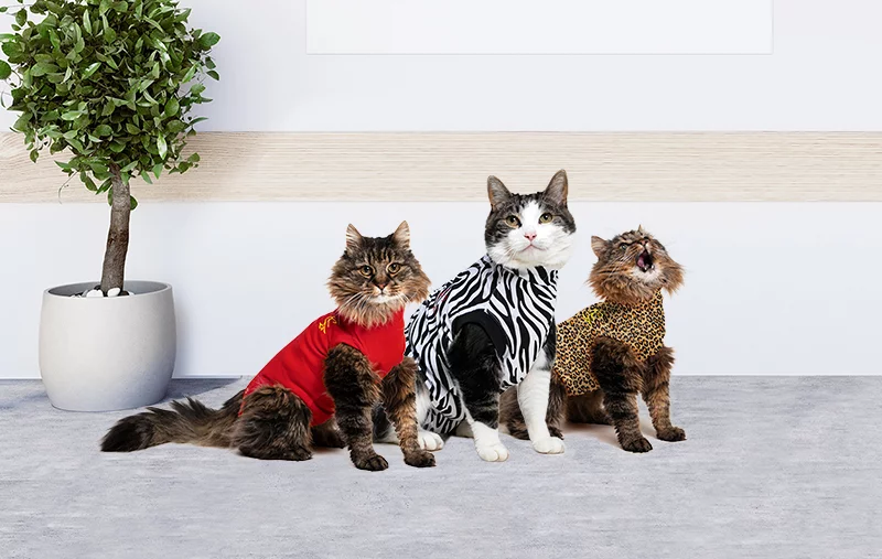 MPS - Veterinary Range Shirt CAT - Image 10