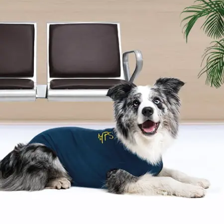 MPS - Veterinary Range Shirt DOG
