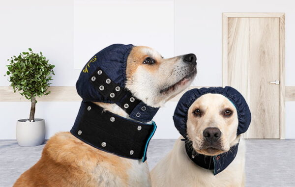 MPS - Veterinary Range Head DOG - Image 13