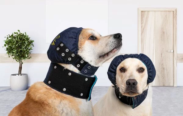 MPS - Veterinary Range Head DOG - Image 13