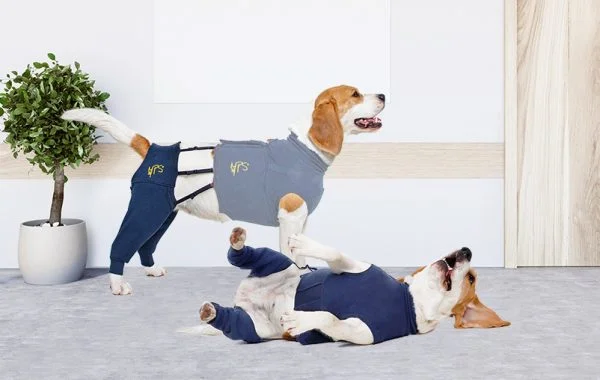 MPS - Veterinary Range Hind Leg Sleeves DOG - Image 12